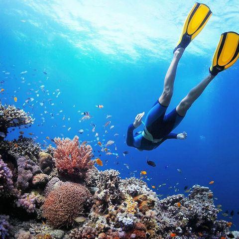 tauchcamp-elba-640x480